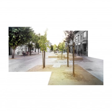 PEATONALIZACIÓN de la CALLE REAL de TORRELODONES