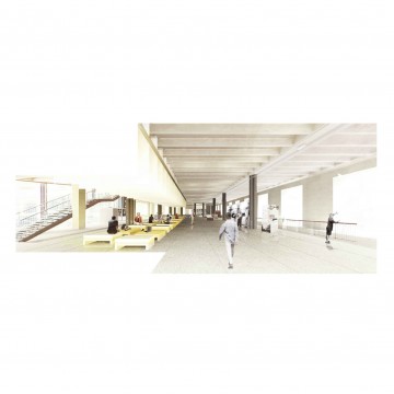 Reorganización de los Accesos COAM